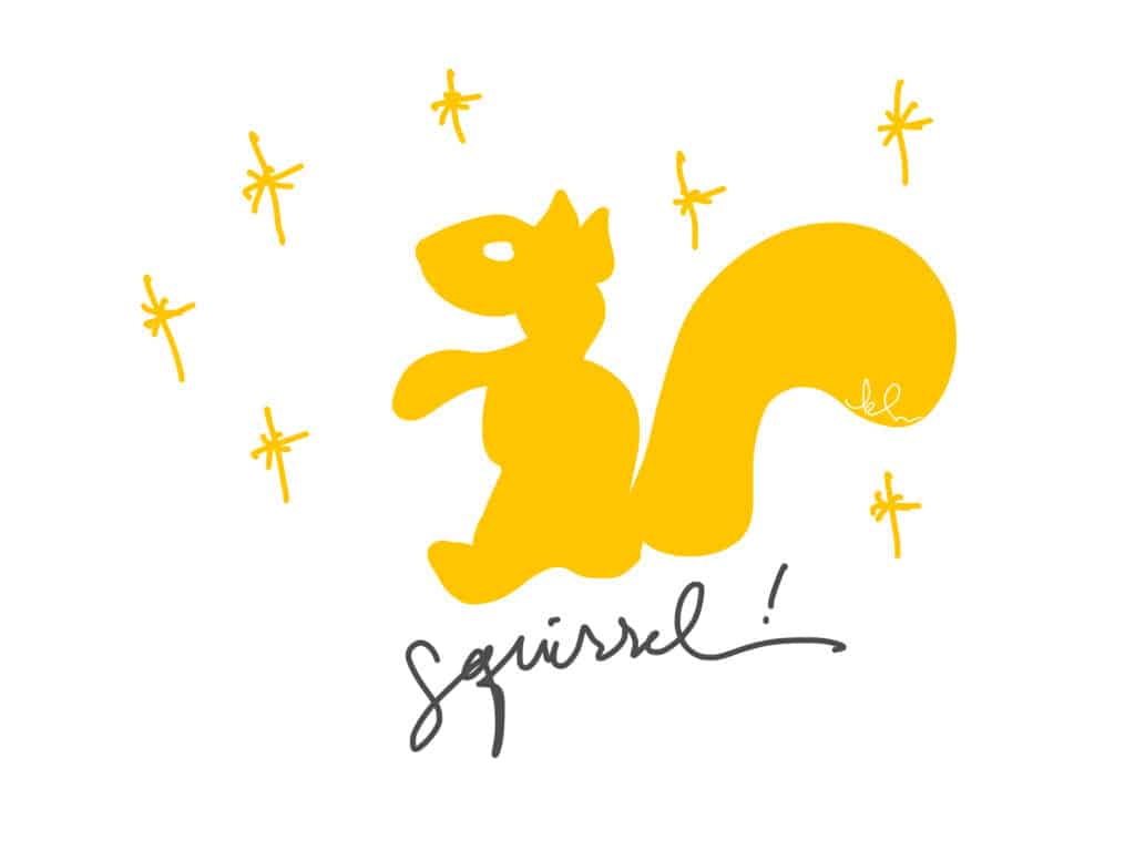 KLR note squirrel! 18-03-23